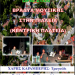 Moυσική βραδιά στην Πιαλεία