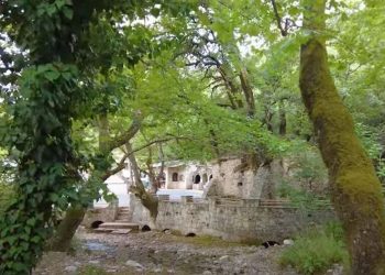 Αγία Θεοδώρα Βάστα: Το θαύμα της φύσης με τις 17 βελανιδιές