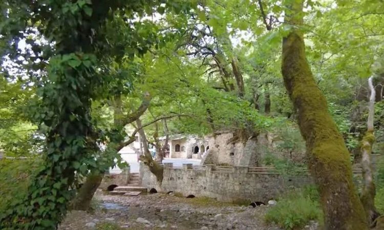 Αγία Θεοδώρα Βάστα: Το θαύμα της φύσης με τις 17 βελανιδιές
