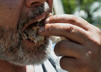 Γουρουνοπούλα σε πανηγύρι «έστειλε» 15 άτομα στο νοσοκομείο