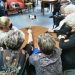 «Χρόνια πολλά» από τον Δήμο Τρικκαίων για την παγκόσμια ημέρα τρίτης ηλικίας