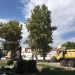 Ανθρώπινα οστά έφεραν στο φως οι εργασίες ανάπλασης της Κεντρικής Πλατείας