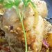 Κοτόπουλο με curry και σταφίδες της Έφης