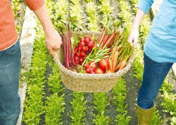 Καθεστώς «Αγροδιατροφή – Πρωτογενής Παραγωγή και Μεταποίηση Γεωργικών Προϊόντων – Αλιεία – Υδατοκαλλιέργεια»