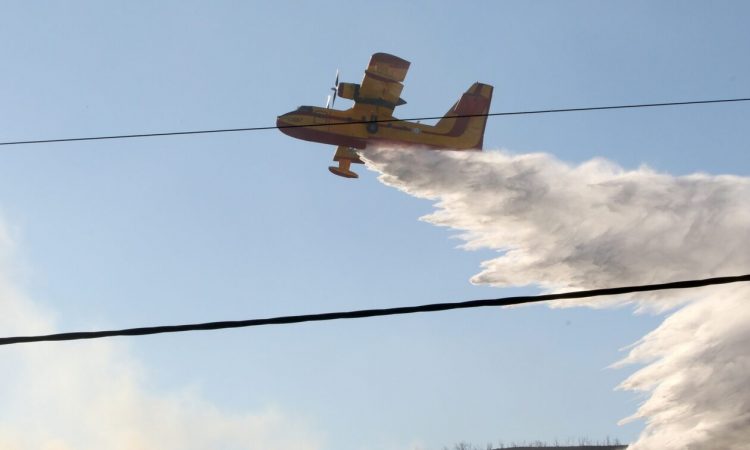 Φωτιά τώρα: Πυρκαγιά σε δασική έκταση στο Μεγαλοβούνι Κορινθίας