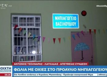 Λαγκαδάς: Φωλιά με οχιές μέσα σε νηπιαγωγείο