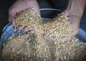 Ουκρανία: Αισιοδοξία στον ΟΗΕ για τη συμφωνία στις εξαγωγές σιτηρών