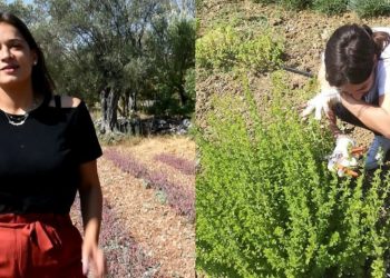 9 βότανα για γυναικολογικές παθήσεις: Ένα από αυτά θα σε ανακουφίσει