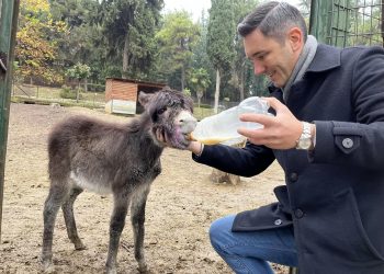 Κλέβει καρδιές το νέο μέλος του forest park στα Τρίκαλα