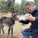 Κλέβει καρδιές το νέο μέλος του forest park στα Τρίκαλα