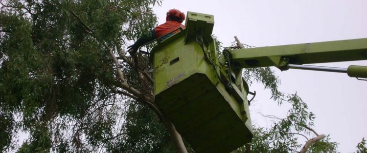 Προσωρινή διακοπή κυκλοφορίας σε τμήμα της οδού Ασκληπιού