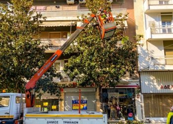 Συνεχίζεται το κλάδεμα για προστασία δέντρων και πεζών στα Τρίκαλα
