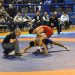 Το Πανελλήνιο Πρωτάθλημα Πάλης U11 – U13 στα Τρίκαλα