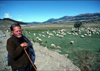 Οι Βλάχοι της Ηπείρου δεν μιλούν πια βλάχικα