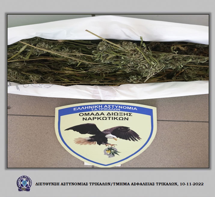 Συνελήφθη για κατοχή 670 γραμμαρίων κάνναβης