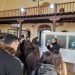 Το 7ο Γενικό Λύκειο συναντά τον Μακρουλάκη
