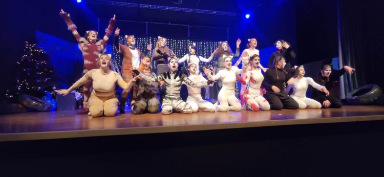 “Christmas with Cats”: Μια Χριστουγεννιάτικη Ονειρεμένη Παράσταση