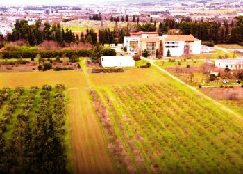 ΑΠΘ – Πρωτοφανές σχέδιο για ξεπούλημα του αγροκτήματος του-Κίνδυνος και για τα δάση σε Ταξιάρχη και Περτούλι