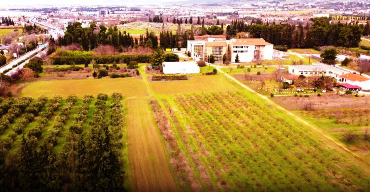 ΑΠΘ – Πρωτοφανές σχέδιο για ξεπούλημα του αγροκτήματος του-Κίνδυνος και για τα δάση σε Ταξιάρχη και Περτούλι