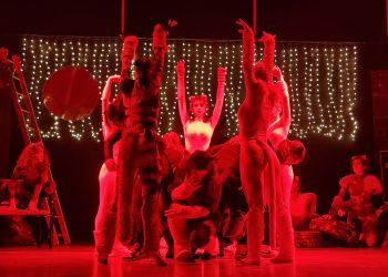 “Christmas with Cats”: Οι Γουργουρόγατες θριάμβευσαν ξανά!