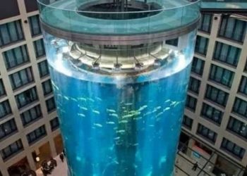 Έσπασε τεράστιο ενυδρείο σε ξενοδοχείο Radisson με 1500 τροπικά ψάρια – Δύο τραυματίες