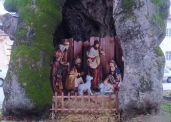 Εντυπωσιάζει η υπέροχη φάτνη στον κορμό ενός ιστορικού πλατάνου στη Ράξα Τρικάλων