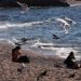 Καιρός: 20 βαθμοί την Πρωτοχρονιά – Πότε θα πέσει η θερμοκρασία