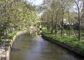 Ταχείες διαδικασίες για τα 1.300 δέντρα στους ποταμούς Ληθαίο – Αγιαμονιώτη στα Τρίκαλα