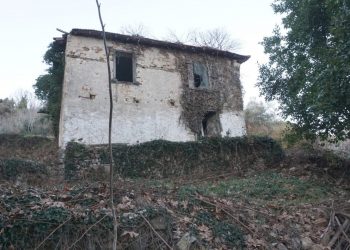 Δάσος Πολυδενδρίου, Λάρισα: Πώς είναι σήμερα τα πρώην βασιλικά κτήματα