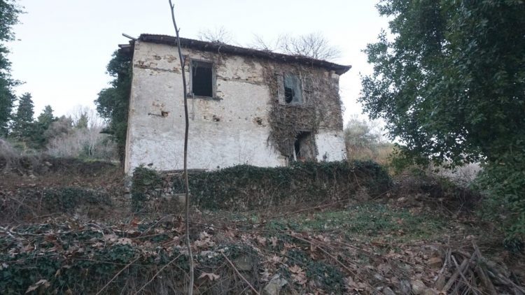 Δάσος Πολυδενδρίου, Λάρισα: Πώς είναι σήμερα τα πρώην βασιλικά κτήματα