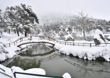 Μαρουσάκης : «Θα δούμε χιόνια ακόμα και σε πόλεις»