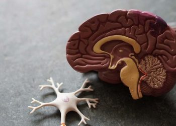 Αλτσχάιμερ: Πώς η θεραπεία ορμονικής υποκατάστασης μπορεί να βοηθήσει τις γυναίκες