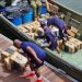 Κολομβία: Έσπασαν ρεκόρ οι κατασχέσεις κοκαΐνης το 2022