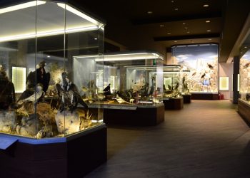 Χορηγία από την ΚΛΙΑΦΑ 3200 μαθητών στο Μουσείο Φυσικής Ιστορίας Μετεώρων και Μουσείο Μανιταριών