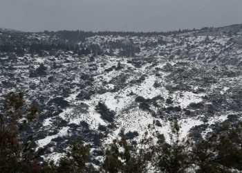 Καιρός – Καλλιάνος: Αυτά είναι τα υψόμετρα πάνω από τα οποία θα χιονίσει