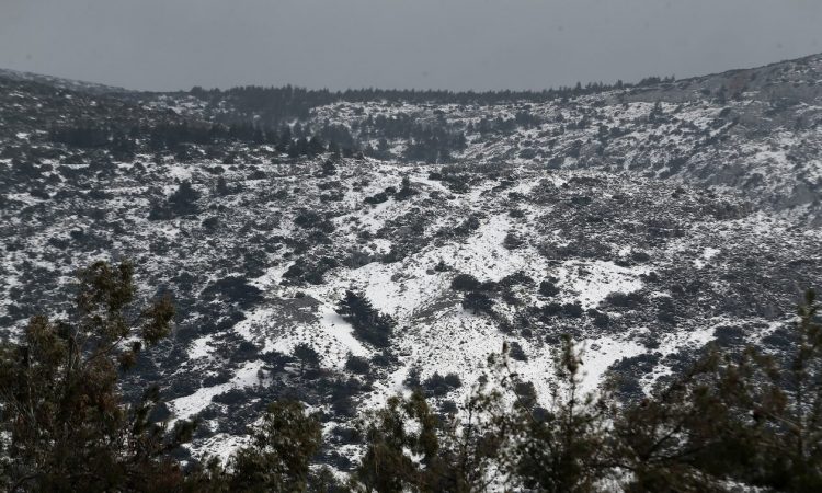 Καιρός – Καλλιάνος: Αυτά είναι τα υψόμετρα πάνω από τα οποία θα χιονίσει