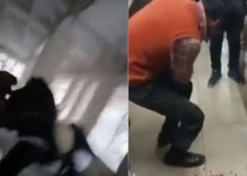 Ινδία: Λεοπάρδαλη εισέβαλε σε δικαστήριο και κατασπάραξε 5 ανθρώπους