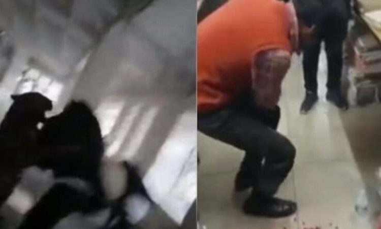 Ινδία: Λεοπάρδαλη εισέβαλε σε δικαστήριο και κατασπάραξε 5 ανθρώπους