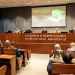 Έρευνα Plushost-Focus Bari για το Phygital Commerce