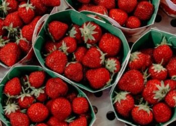 Το μεγάλο λάθος που κάνεις όταν καθαρίζεις τις φράουλες