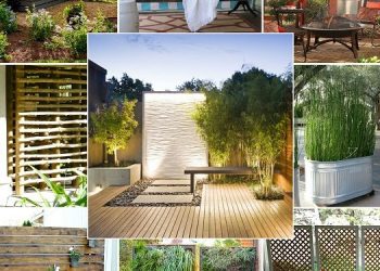 13 Diy Ιδέες ιδιωτικού απορρήτου που θα κρατήσουν τα αδιάκριτα μάτια των γειτώνων σας μακρυά από την κατασκοπία