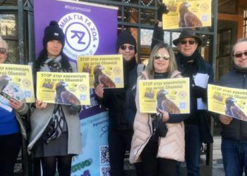 Διαμαρτυρία για την “κακοποίηση” του αετού Οδυσσέα από την ΠΑΕ ΑΕΚ!