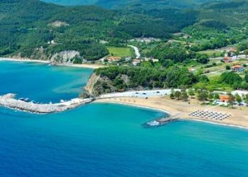 Στρατώνι Χαλκιδικής: Η μοναδική προστατευόμενη αποικία ιππόκαμπου στην Ελλάδα