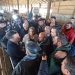 Επίσκεψη του Αλέξη Τσίπρα σε κτηνοτροφική μονάδα στην Φιλύρα Τρικάλων-Ενημερώθηκε για τα οξυμένα προβλήματα των κτηνοτρόφων (φωτό-video)