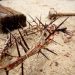 Υποδοχή «ΑΧΡΑΝΤΩΝ ΠΑΘΩΝ» στον ΙΝ Αγίου Νεκταρίου