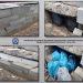 “Έχτιζαν” κάνναβη με τσιμεντόλιθους-Εξαρθρώθηκε σπείρα που διακινούσε κάνναβη στο Νομό Μαγνησίας