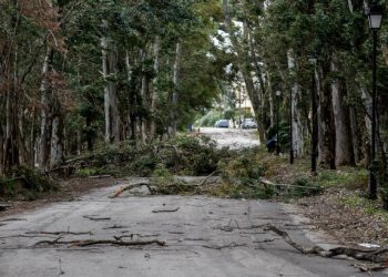 Διεύθυνση Πολιτικής Προστασίας Περιφέρειας Θεσσαλίας: Συστάσεις προς τους πολίτες για την προστασία από θυελλώδεις  ανέμους
