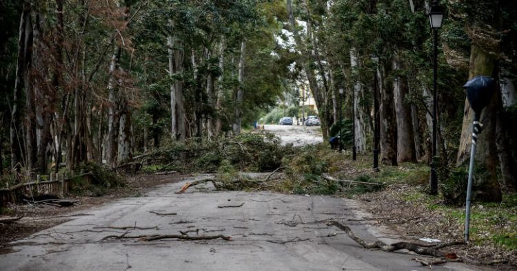 Διεύθυνση Πολιτικής Προστασίας Περιφέρειας Θεσσαλίας: Συστάσεις προς τους πολίτες για την προστασία από θυελλώδεις  ανέμους