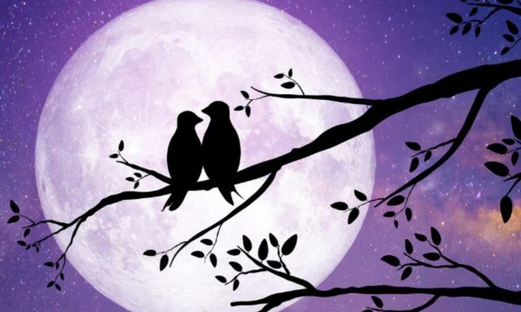 Το Φεγγάρι σου δείχνει τον δρόμο από 01/03 έως 15/03