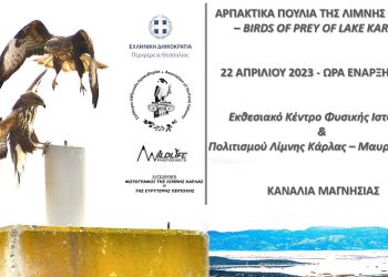 Εκδήλωση για τα αρπακτικά πουλιά της λίμνης Κάρλας